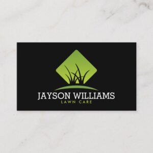 Modern Lawn Care/Landscaping Grass Logo II Business Card