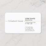 Plain Minimal Modern Professional Elegant White Business Card