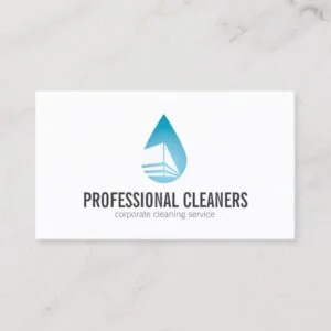 Professional Cleaning Service Business Card