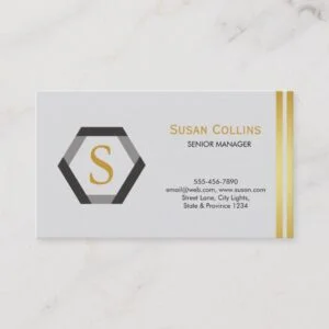 Professional Modern Simple Plain Logo Hexagon Business Card