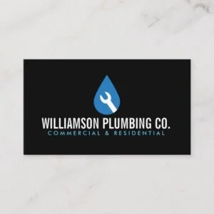 Professional Plumbing Logo II and Business Card