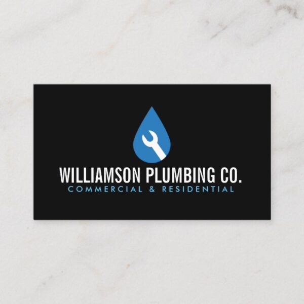 Professional Plumbing Logo II and Business Card