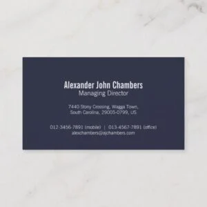 Simple professional navy business cards